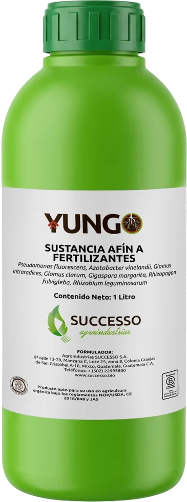 Envase de Yungo, Inoculante micorrícico
