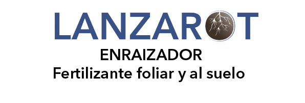 Captura de pantalla 2026-03-02 a la(s) 10.57.56 a. m. https://successo.bio/wp-content/uploads/2026/03/Captura-de-pantalla-2026-03-02-a-las-10.57.56-a.-m-1.png