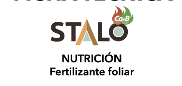 Captura de pantalla 2026-03-02 a la(s) 11.05.18 a. m. https://successo.bio/wp-content/uploads/2026/03/Captura-de-pantalla-2026-03-02-a-las-11.05.18-a.-m.png