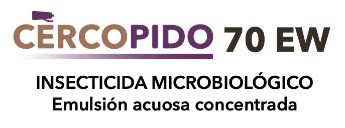 https://successo.bio/wp-content/uploads/2026/03/Captura-de-pantalla-2026-03-18-a-las-5.10.26-p.-m.png